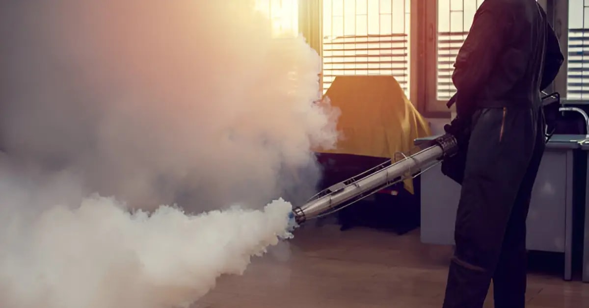 Fumigasyonda Etkili Olan Faktörler Nelerdir?