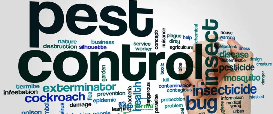 Pest Kontrol Eğitimi