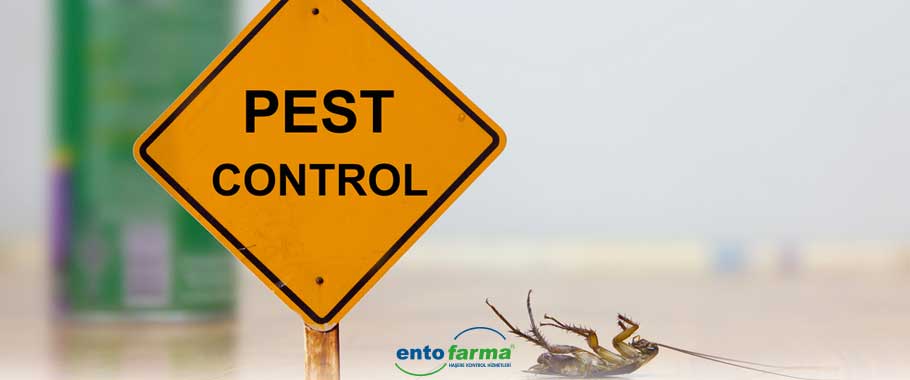 İşletmede Pest Kontrol Faaliyetlerinden Sorumlu Bir Yetkili Bulunmalıdır