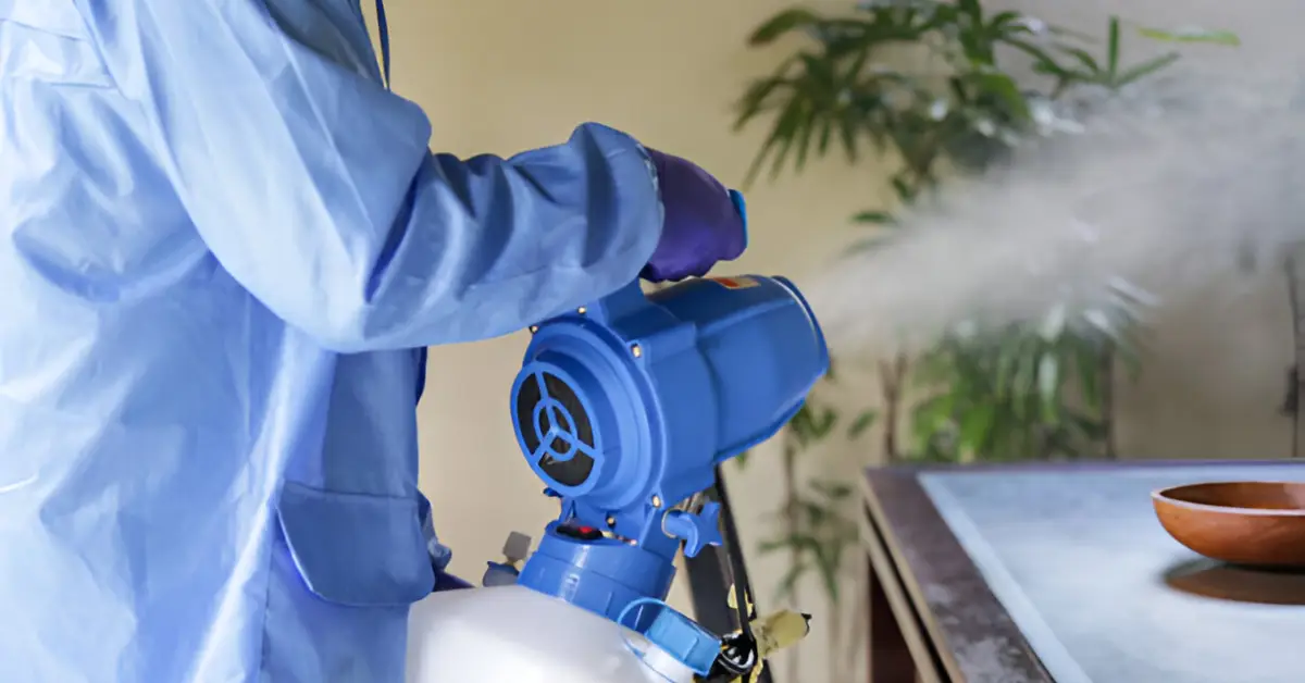 Güvenilir Fumigasyon Firmalarını Değerlendirirken Nelere Bakılmalı?