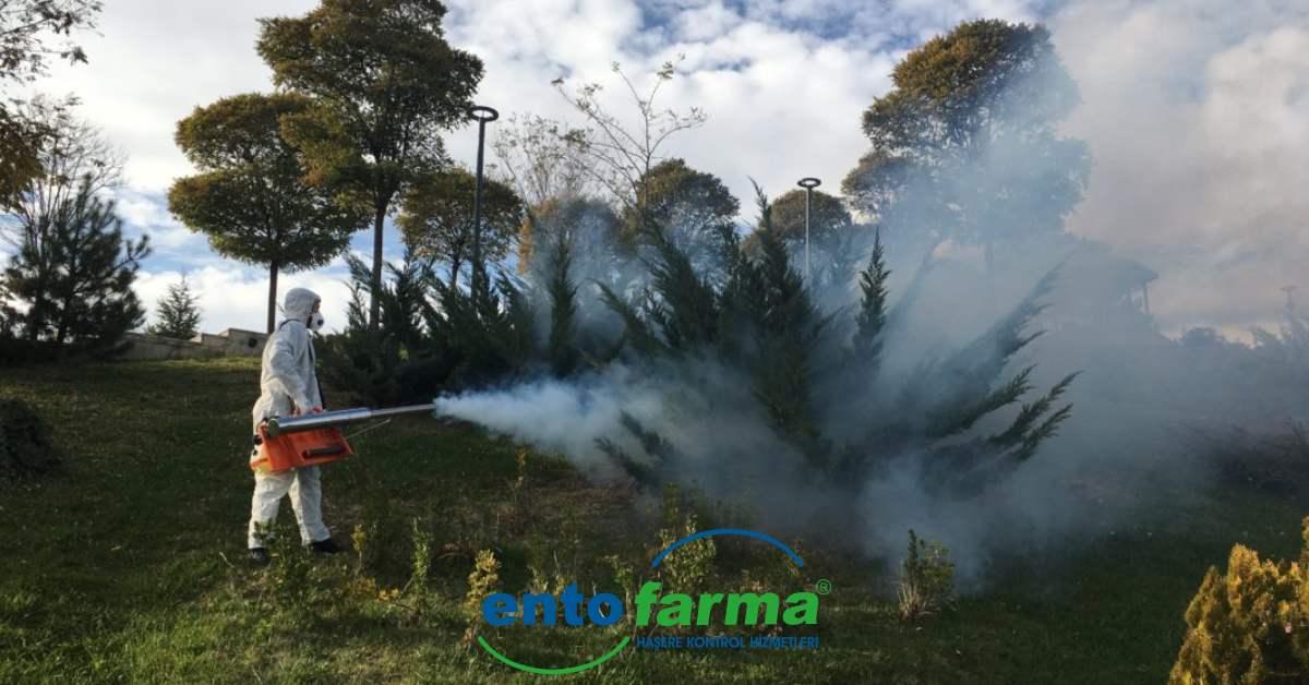 Manisa ilaçlama hizmeti